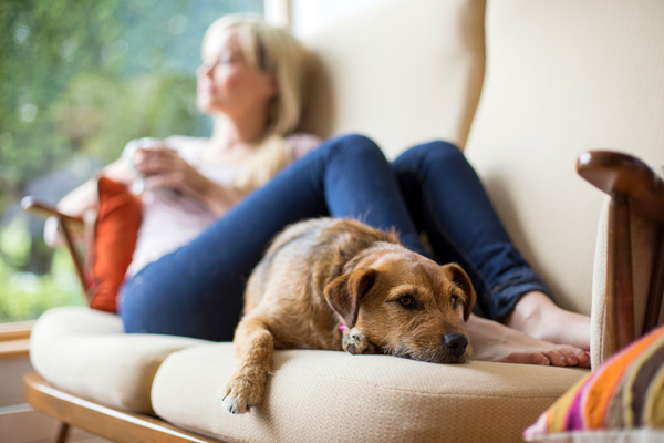 How does the Bank of England Base Rate Increase Affect Me as a Homeowner